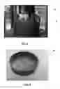 Fig. 03 - Method for preparing a powder from brown macroalgae and method for fabricating rigid objects from said powder
