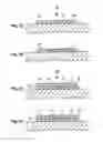 Fig. 02 - Three-dimensional shaped article manufacturing method