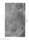Fig. 06 - TEXTURING OF 3D MEDICAL IMAGES