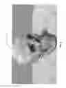 Fig. 07 - TEXTURING OF 3D MEDICAL IMAGES