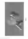 Fig. 08 - TEXTURING OF 3D MEDICAL IMAGES