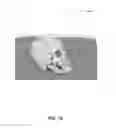 Fig. 11 - TEXTURING OF 3D MEDICAL IMAGES