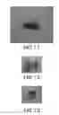 Fig. 08 - Degradable metal composites, methods of manufacture, and uses thereof