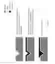 Fig. 09 - Metallic nano-tip apparatus, methods, and applications
