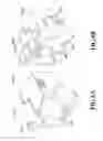 Fig. 07 - Adjustment method of printing positions, printing apparatus and printing system