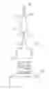 Fig. 01 - Glue bottle with flow regulation