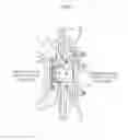 Fig. 07 - BEARING MODULE