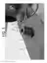 Fig. 06 - WHEEL ASSEMBLY FOR COOLER