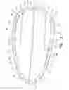 Fig. 14 - Containment system and increased strength radome assembly
