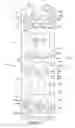 Fig. 02 - Carton and carton blank