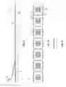 Fig. 02 - High efficiency automated pharmaceutical dispenser
