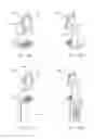 Fig. 18 - Beverage dispensing apparatus with presence sensing