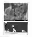 Fig. 04 - Mineralogical removal method and apparatus for highly concentrated iodine in radioactive wastewater