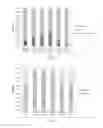 Fig. 05 - Composition comprising paraffin fractions obtained from biological raw materials and method of producing same