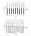 Fig. 06 - Composition comprising paraffin fractions obtained from biological raw materials and method of producing same