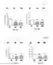 Fig. 22 - SELENO-COMPOUNDS AND THERAPEUTIC USES THEREOF