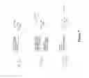 Fig. 08 - Pyrazolyl substituted carbonic acid derivatives as modulators of the prostacyclin (PGI2) receptor useful for the treatment of disorders related thereto