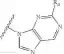 Fig. 24 - Heteroaryl substituted nicotinamide compounds
