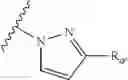 Fig. 25 - Heteroaryl substituted nicotinamide compounds