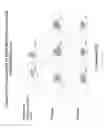 Fig. 08 - Substituted indazoles for targeting Hsp90