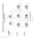 Fig. 09 - Substituted indazoles for targeting Hsp90