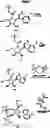 Fig. 55 - Compositions and methods for inhibiting viral polymerase