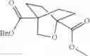 Fig. 86 - Pyrrolidinyl sulfone RORγ modulators