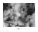 Fig. 04 - Preparation method of zeolitic imidazolate framework-90 in water-based system
