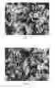 Fig. 06 - Preparation method of zeolitic imidazolate framework-90 in water-based system