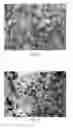 Fig. 07 - Preparation method of zeolitic imidazolate framework-90 in water-based system