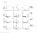 Fig. 04 - Organic compounds as proantigens for natural killer T cells