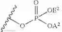 Fig. 16 - Organic compounds as proantigens for natural killer T cells