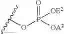 Fig. 17 - Organic compounds as proantigens for natural killer T cells