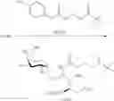 Fig. 67 - Organic compounds as proantigens for natural killer T cells