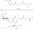 Fig. 72 - Organic compounds as proantigens for natural killer T cells