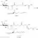 Fig. 75 - Organic compounds as proantigens for natural killer T cells