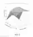 Fig. 03 - Preparation method of deglycosylated ginsenosides