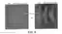 Fig. 10 - Selective delivery of molecules into cells or marking of cells in diseased tissue regions using environmentally sensitive transmembrane peptide