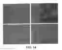 Fig. 15 - Selective delivery of molecules into cells or marking of cells in diseased tissue regions using environmentally sensitive transmembrane peptide