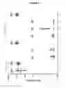 Fig. 02 - STABILISED PROTEINS FOR IMMUNISING AGAINST STAPHYLOCOCCUS AUREUS