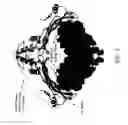 Fig. 07 - Antibodies specific for sclerostin and methods for increasing bone mineralization