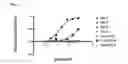 Fig. 04 - ANTIBODIES COMPRISING SEQUENCES FROM CAMELIDAE TO HIGHLY CONSERVED TARGETS