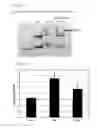 Fig. 04 - Polyamide compound and pharmaceutical composition for treating mitochondrial genetic disease