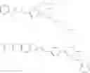 Fig. 29 - Azo compound, ink containing azo compound, and display and electronic paper containing the ink
