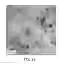 Fig. 12 - SILICON/GERMANIUM NANOPARTICLES AND INKS HAVING LOW METAL CONTAMINATION