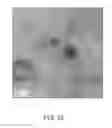 Fig. 13 - SILICON/GERMANIUM NANOPARTICLES AND INKS HAVING LOW METAL CONTAMINATION