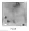 Fig. 15 - SILICON/GERMANIUM NANOPARTICLES AND INKS HAVING LOW METAL CONTAMINATION