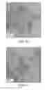 Fig. 17 - SILICON/GERMANIUM NANOPARTICLES AND INKS HAVING LOW METAL CONTAMINATION