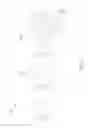 Fig. 06 - Chemical film on substrate, method of forming the same, and method of forming N-hydroxysuccinimide ester-functionalized paracyclophane