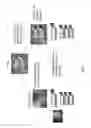 Fig. 02 - Cardiomyocyte production